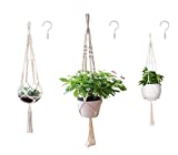 3 Pack Macrame Plant Hanger $13