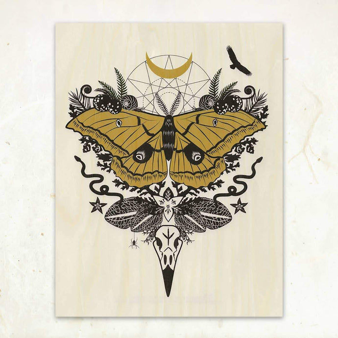 Silk Moth Small Wood Print