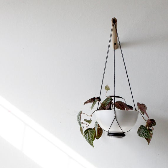 Hanging Planter, Plant Hanger, Wall Planter, Macrame Plant Hanger,  Modern Macrame, Wall Decor, New Home Gift, Nature Lover Gift, Navy D by loopdesignstudio