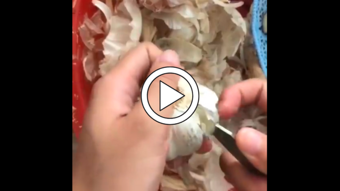 Twitter: @VPestilenZ