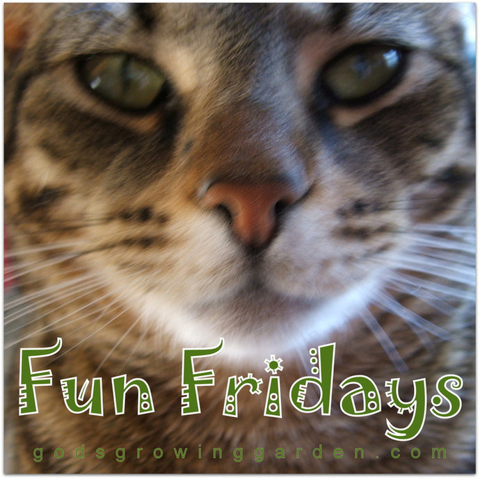 Fun Fridays #37 - MACRAME KITTY-CAT HANGER