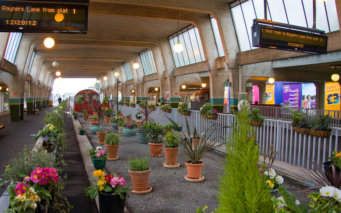 All 272 Tube Stations On The London Underground Bitchily Reviewed