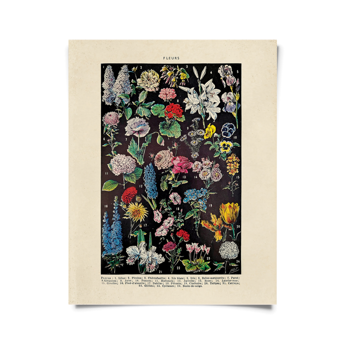 Vintage Botanical Fleurs 2 Garden Flower Print w/ frame