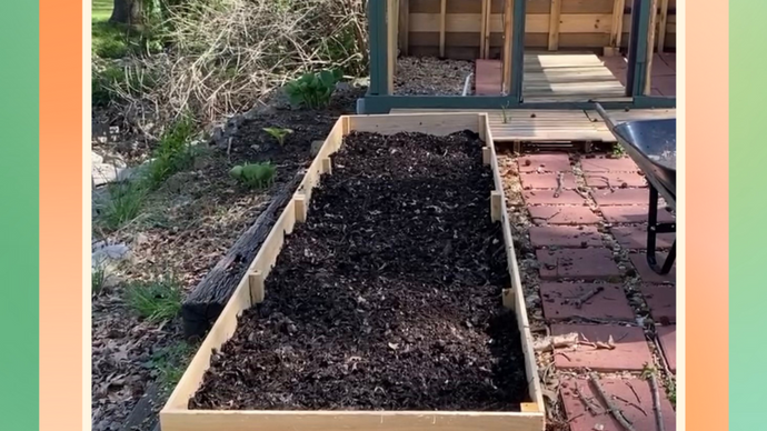 How To Build A Raised Garden Bed This Spring For Under $50