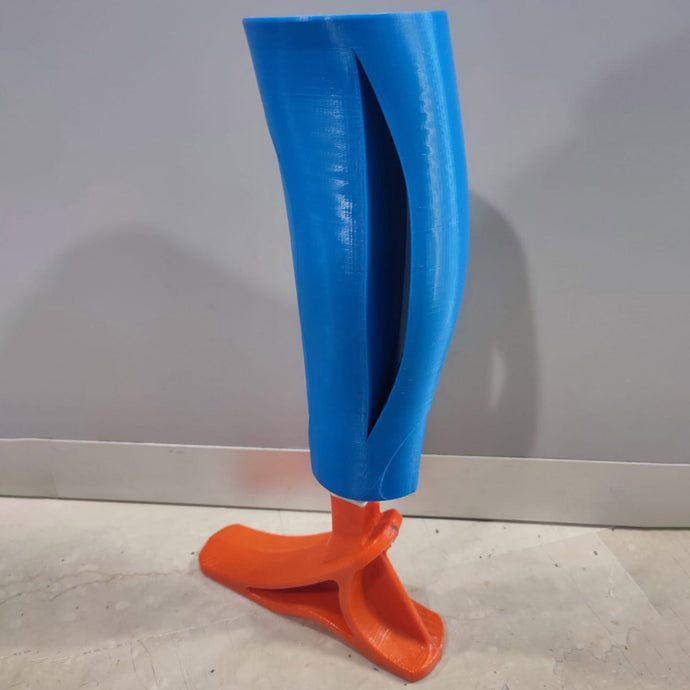Prosthetic leg for Ukrainian amputees among 2023 Ro Plastic Prize winners
