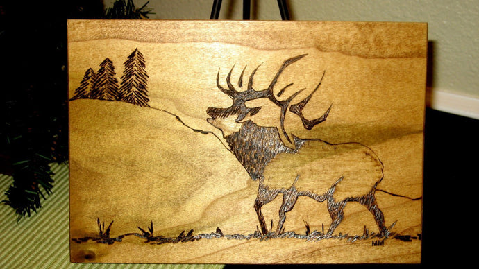 Lovable Wood Burning Ideas